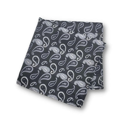 BLACK SILVER PAISLEY TIE AND POCKET SQUARE